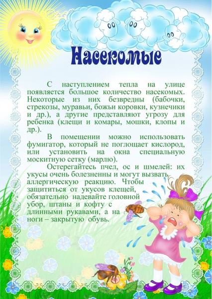 О насекомых 
