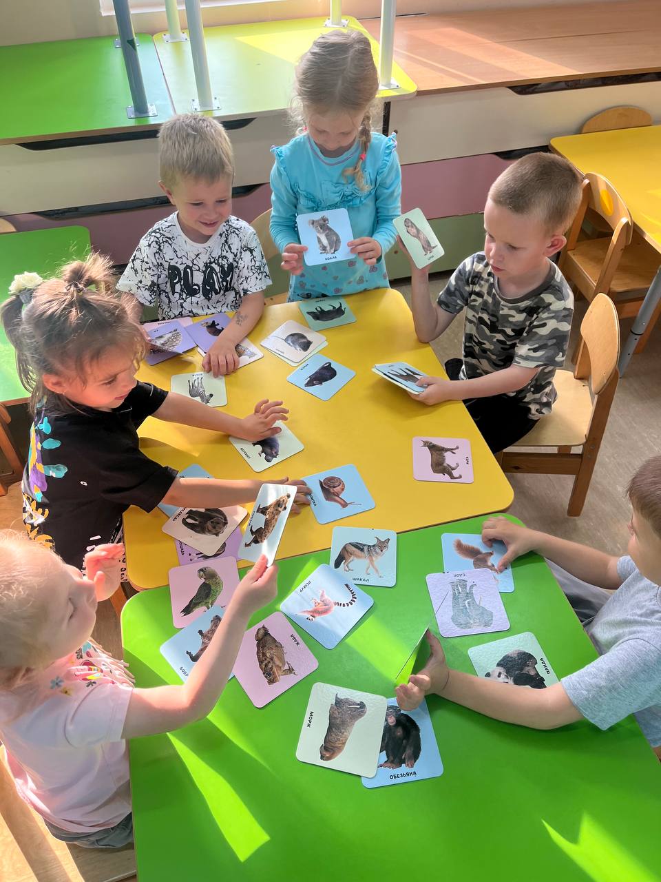 Ребята и карточки с животными 