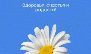 Праздник День семьи 